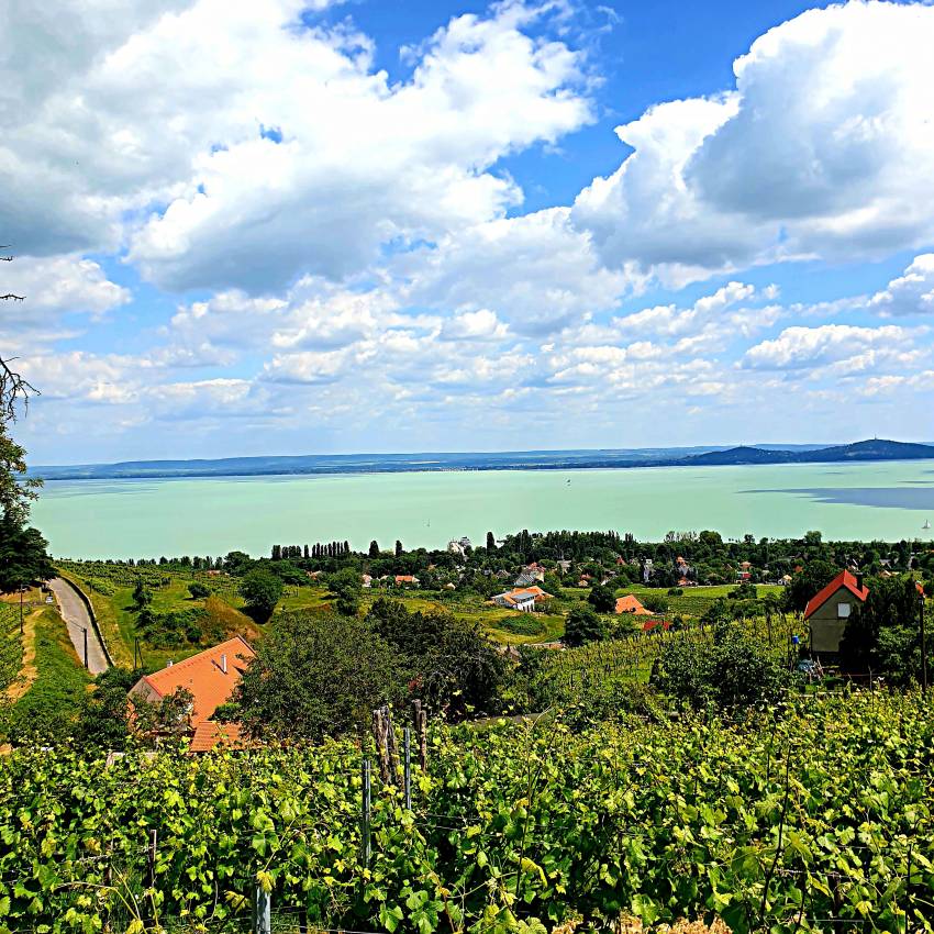 Badacsony - Come With Me Blog